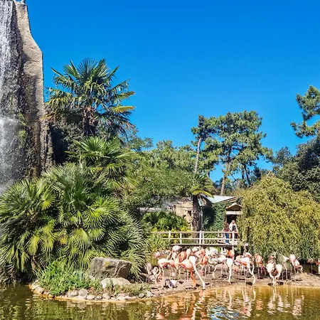 In Chenac-saint-seurin-d' Saint-Seurin-d'Uzet