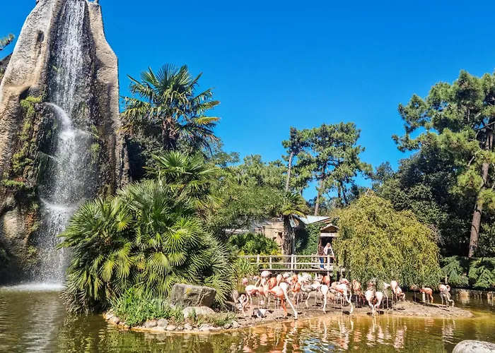 In Chenac-saint-seurin-d' Saint-Seurin-d'Uzet